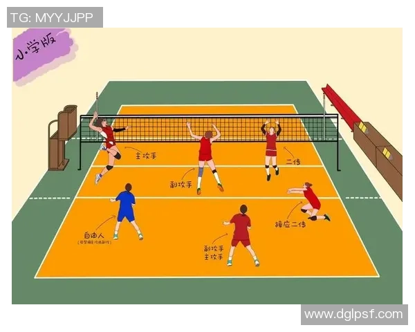 武汉排球队与成都排球队赛后分析力量对比与战术探讨