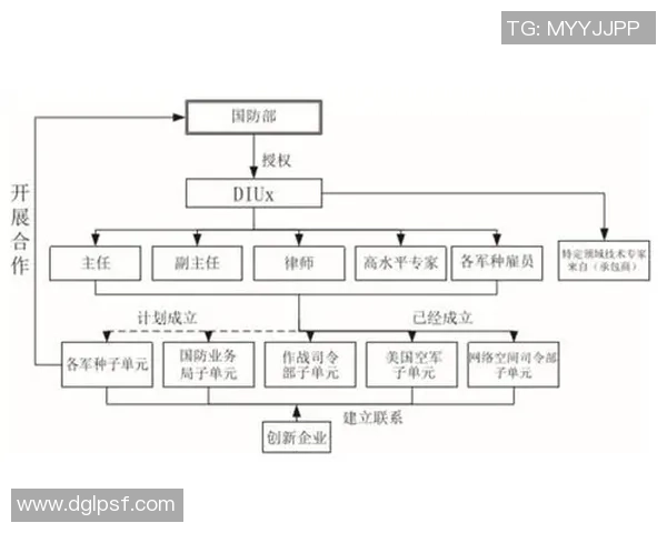 深圳排球队在杯赛中的团队协作表现分析与启示